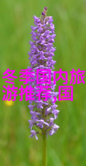 老年游客的温馨列车之旅