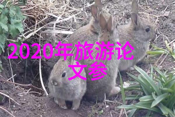 中国美丽海岸线探索中国最美的海边旅游目的地