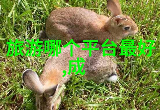 探索云天宫张家界旅游攻略