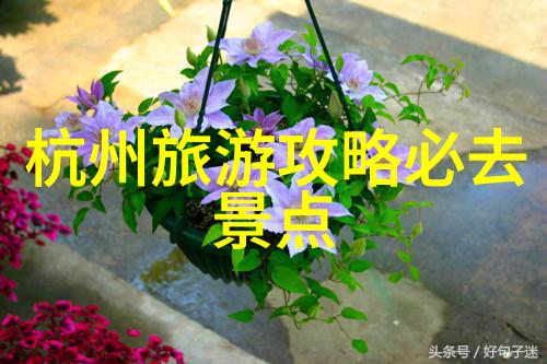品牌SCOTT寻找更轻的极速骑行4下载方式