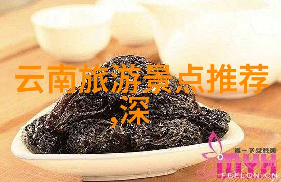 蒲宁岛上的野生动物观察一场未来的自然之旅