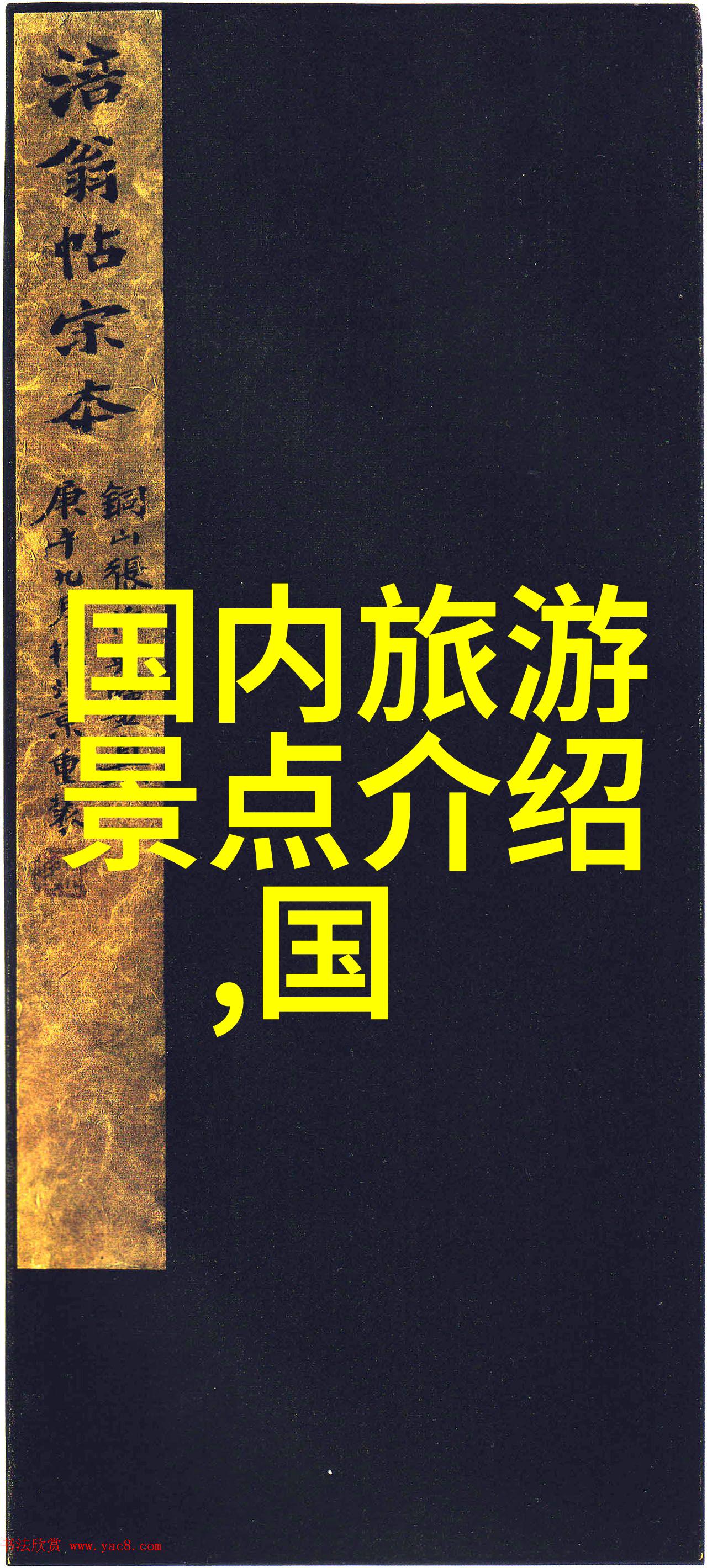 骑行人群特征探究速度团队精神与城市的呼吸