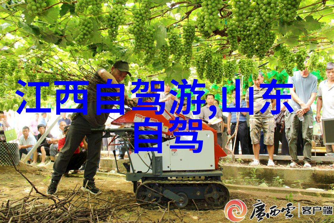 如何预防在嵊泗列岛旅行中遇到的自然风险和灾害呢