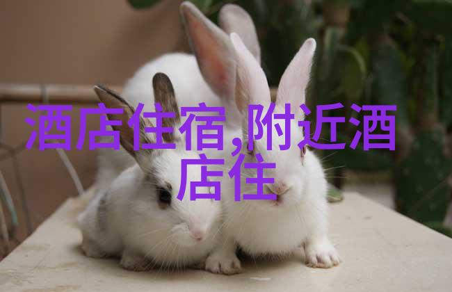 绍兴旅游必看数据驱动的景点攻略