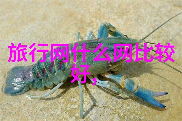 丽江旅游攻略必去景点 - 丽江古城漫步揭秘神秘的纳西文化之都