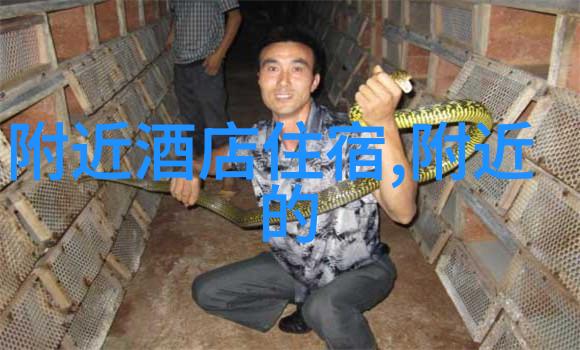 深圳周边自驾游探索明珠之巢的秘密角落