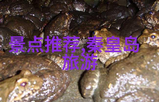 1月桂林旅游攻略必去景点-桂林山水甲天下揭秘一月之旅的绝美风光