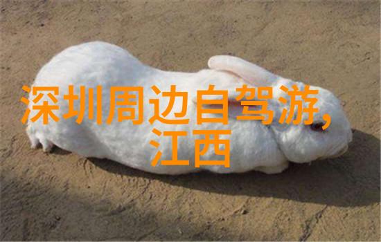 云南迷雾翩跹在苍茫的绿意中