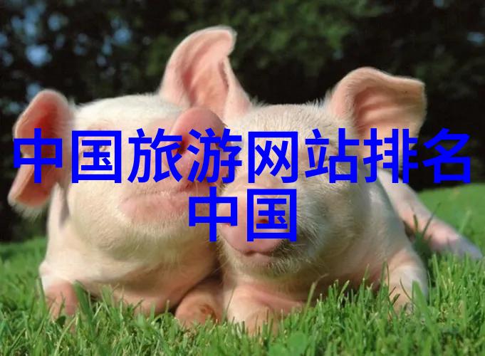 探索中国美国内四天旅游推荐指南
