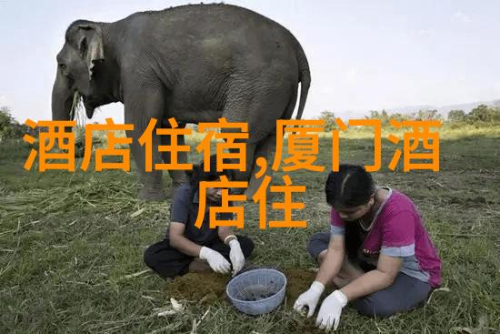 新手骑手应如何进行体能训练以增强耐力和力量