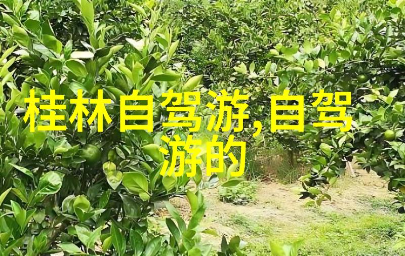 中国小吃排行榜美味传统与现代创意的融合
