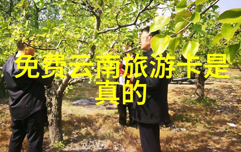 遥远国度的奇幻旅途