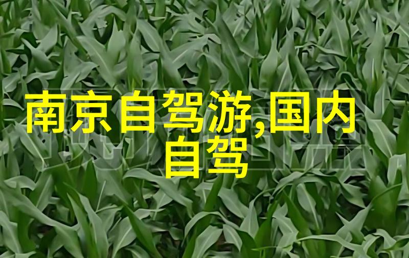 甜文女主手中掌控命运的剧本