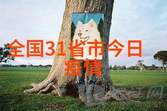 团队大冒险趣味活动的欢乐征程