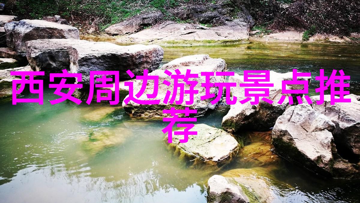 君王无情权力的冷漠面具皇家孤独的影子