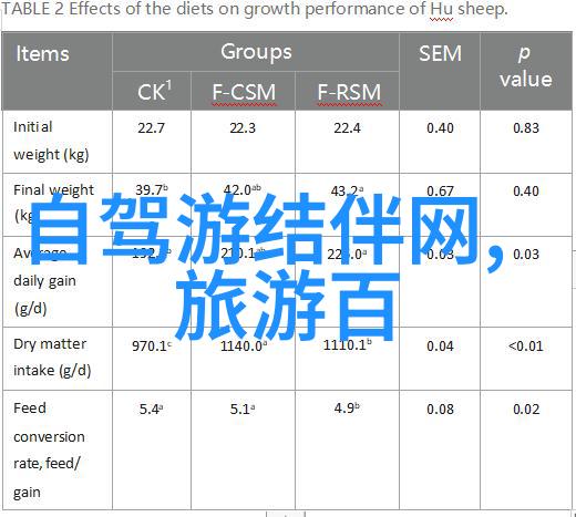 超越舒适区发现自我价值员工户外活动总结讲座