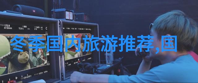 腾冲瑞丽九日游50 60后同行者们让我们一起踏上这段传奇之旅