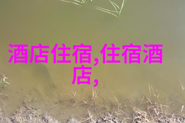 世界一流景点汇聚探索2022年最好的旅行地点