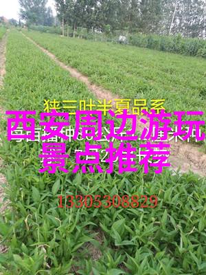 印度斯坦的神秘寺庙印度尼西亚群岛以及菲律宾海滩吸引游客的是什么特质