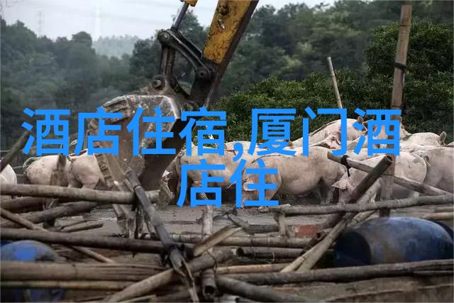 解锁旅行乐趣在众多选项中如何选择最实用的自驾游软件