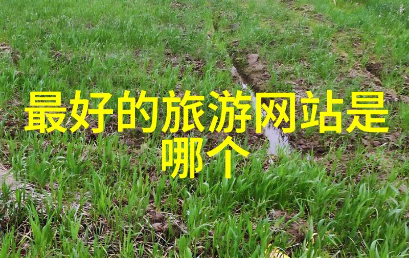非洲撒哈拉沙漠边缘的绿洲乐土摩洛哥魅力展现于你我眼前上