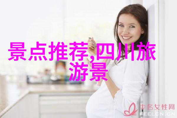 电动助力VS传统有机探讨新能源自行车技术发展趋势
