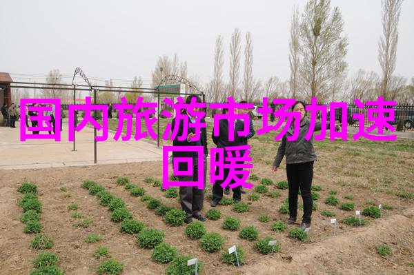 云南之谜揭秘那些隐藏在翠绿山峦下的传奇旅游胜地