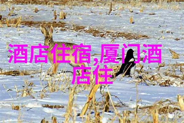 游记优秀作文200字-探索时光的足迹我的旅行日记