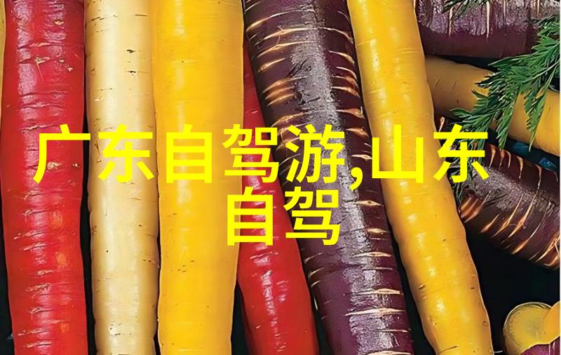 穿越蜀道探秘四川的壮美风光