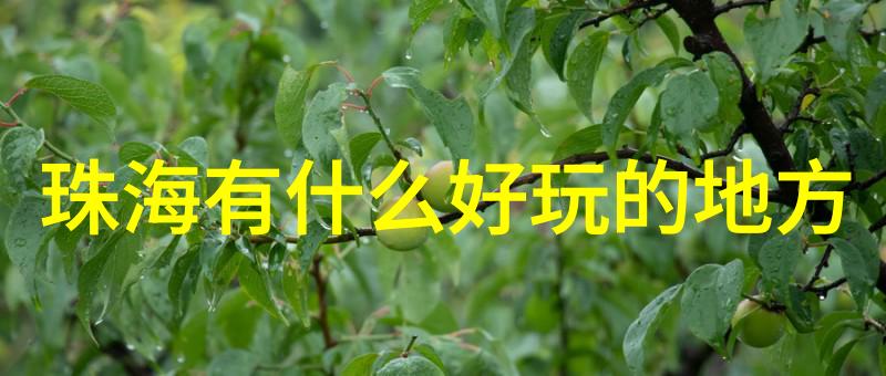 昆明市区美食宝地广州同城佳饕点与逛街天堂的另一面