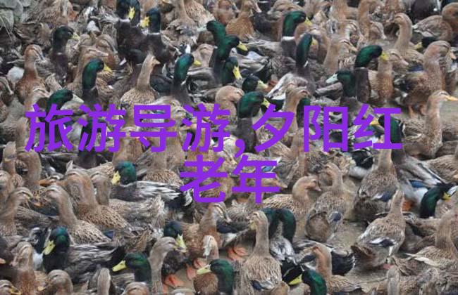 甘南探秘揭秘美丽边陲的自然奇观与文化深度