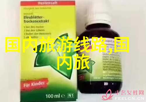 海外奇遇探索世界独特风情之旅