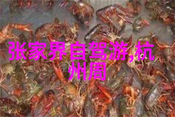 主题-探索奇幻世界解密有名动漫什么游记的秘密