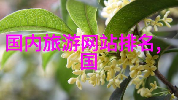 在东莞丢失捷安特公路车的大学生我不是日本人能找回它么