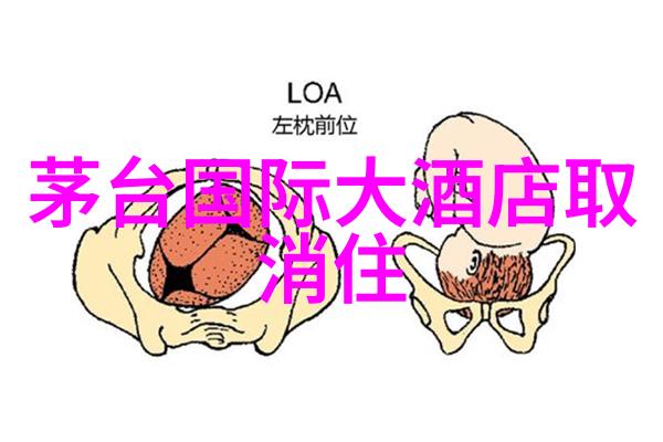 泰山在哪找回来那份儿时的勇气