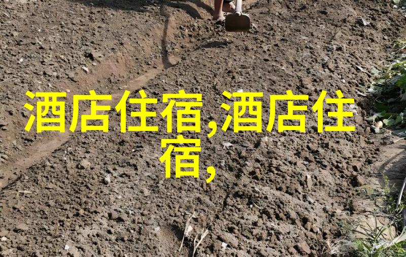 嵊泗列岛自驾游攻略亲测玩转美丽海滩的秘密地图