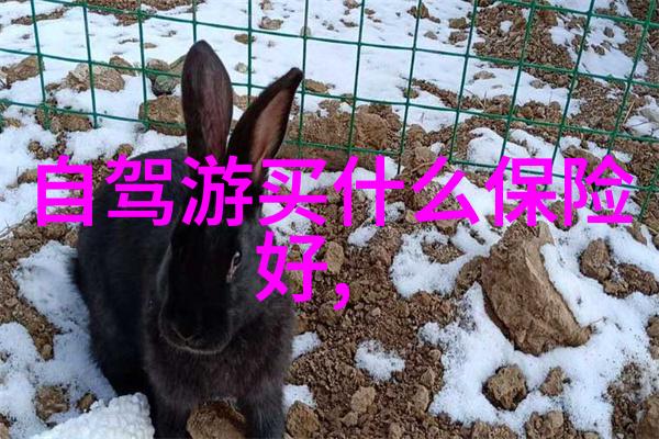 开封住宿攻略我的小秘密花园