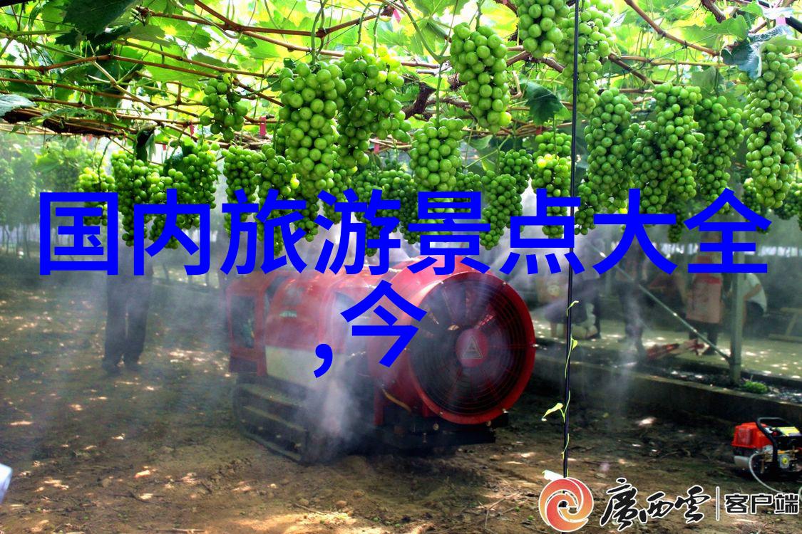 成都本地人爱去的小吃街 - 成都美食探索品味传统与创新