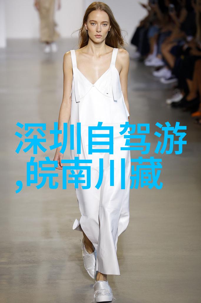 探索上海自驾游的现代传奇