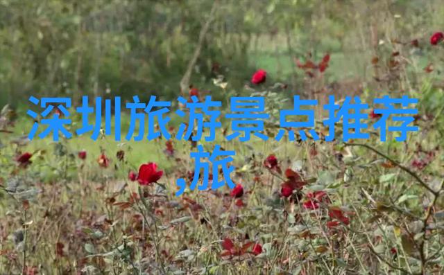 绑架生活如何运用40款创意来改善你的日常生活105