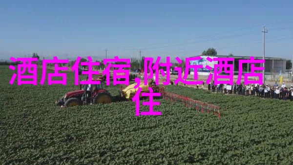 探究云南旅游最佳时间气候节庆与游客流动的综合分析