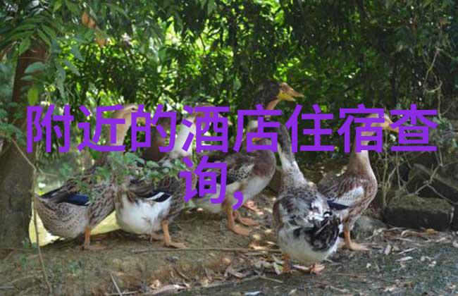 远方的海岸追忆一段旅行中的美好时光