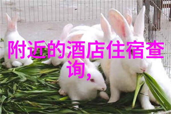 南京周边自驾游未知的秘密与隐藏的美