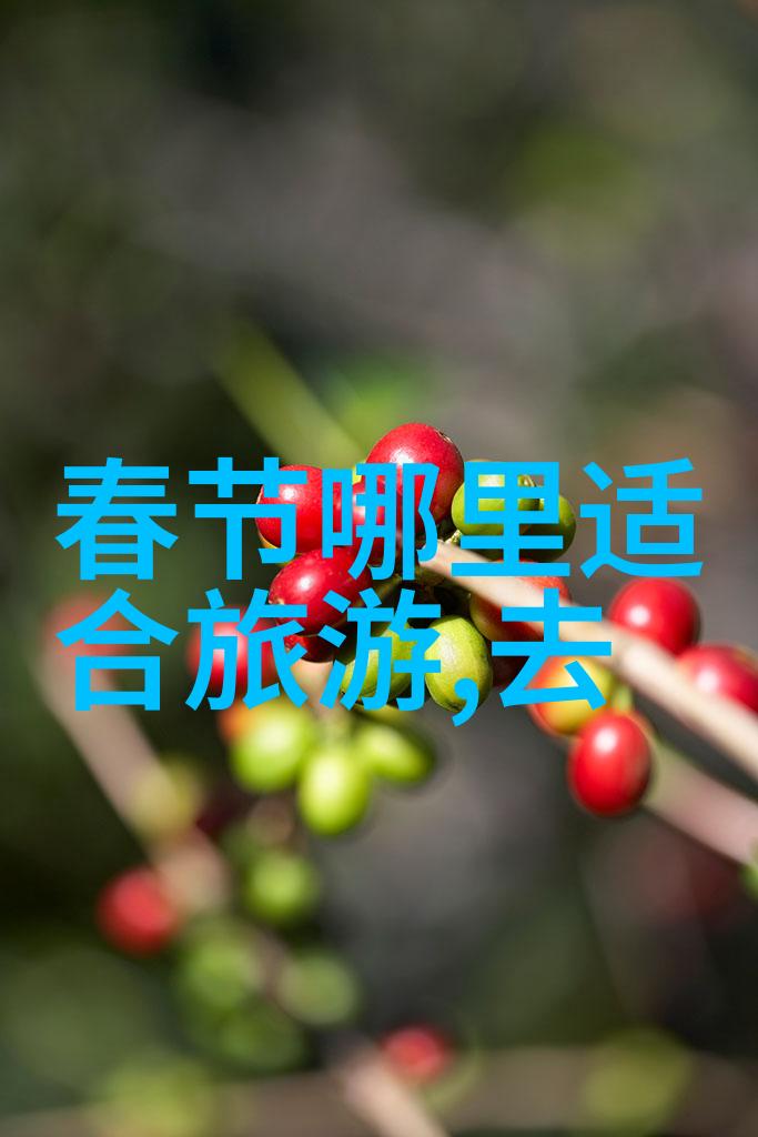 北京到云南旅游团报价中荆州黄山头风景旅游区有哪些让人叹为观止的景点