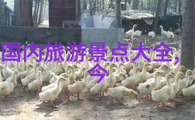 100个异域风情带你绘制国外旅行的地图