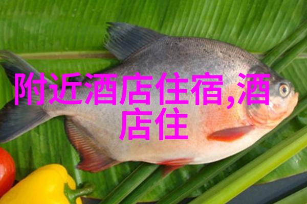 环保旅行在梵净山绿色出行方式及环保小贴士