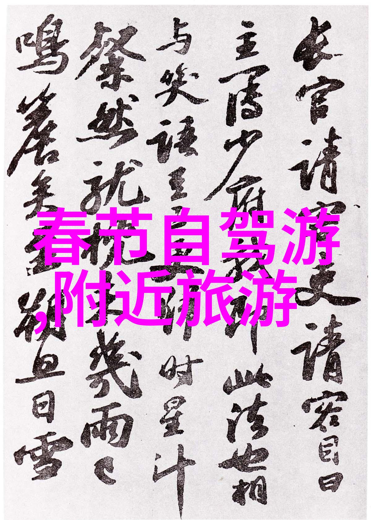 夏门风景点攻略揭秘那些只有大侠才能发现的美丽秘密花园