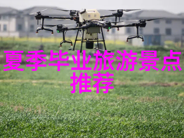 两个大兔子抖来抖去的图片视频-跳跃欢乐两只大兔子的舞动奇迹
