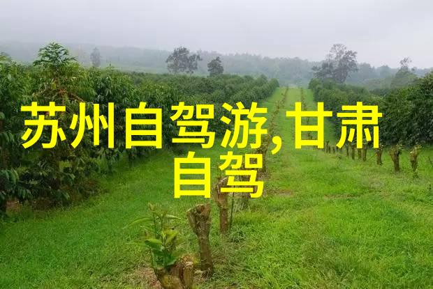 云南丽江白市驿森林公园翠绿隧道中的自然奇迹