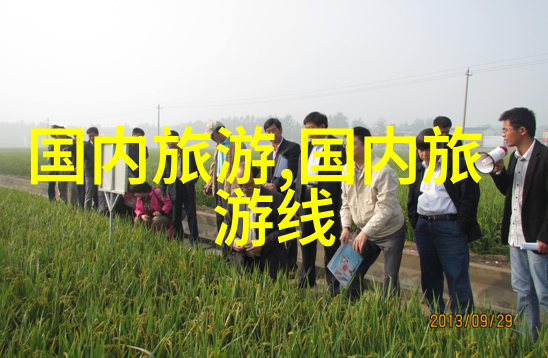 二月春暖花开之地温暖阳光下的美丽景色